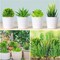 22PCS Mini Artificial Succulents – Realistic Faux Green Plants (Unpotted) for DIY Crafts, Wreath Making, Home, Office, Garden & Decoration Arrangements
